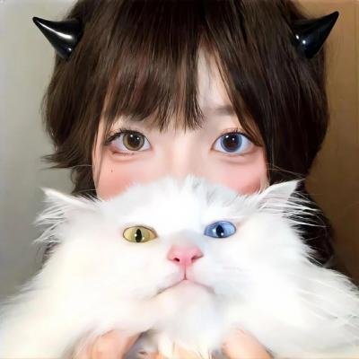 和莎莫的500天